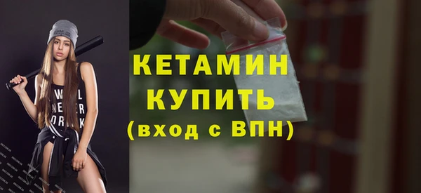 крисы Богородицк