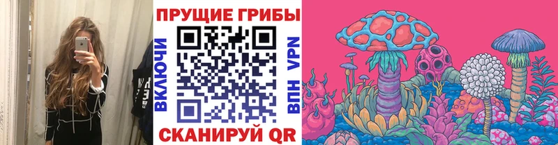 Псилоцибиновые грибы ЛСД  дарнет шоп  Тогучин 